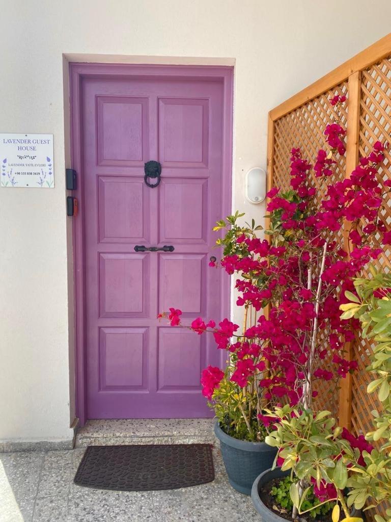 Lavender Homes, Walled City Фамагуста Экстерьер фото